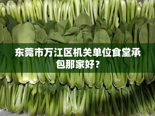 东莞市万江区机关单位食堂承包那家好？