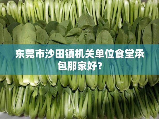 东莞市沙田镇机关单位食堂承包那家好？
