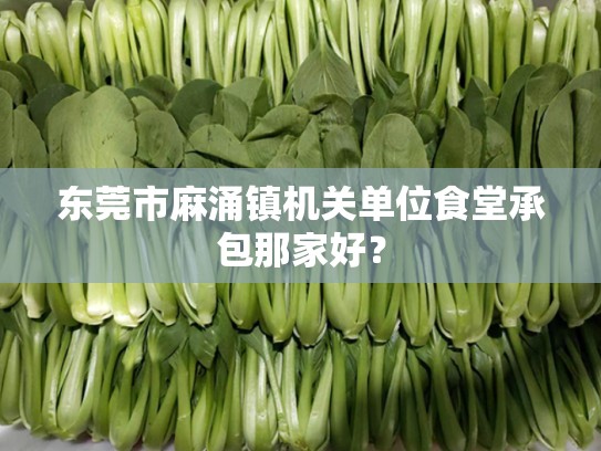 东莞市麻涌镇机关单位食堂承包那家好？
