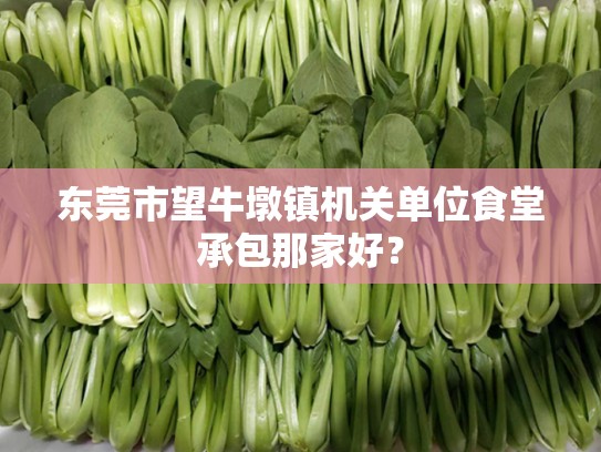 东莞市望牛墩镇机关单位食堂承包那家好？