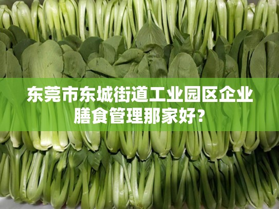 东莞市东城街道工业园区企业膳食管理那家好？