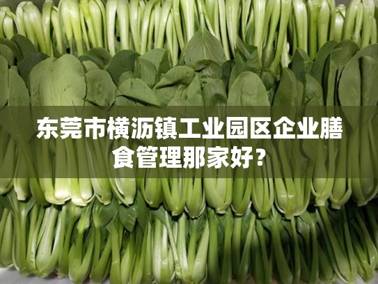 东莞市横沥镇工业园区企业膳食管理那家好？