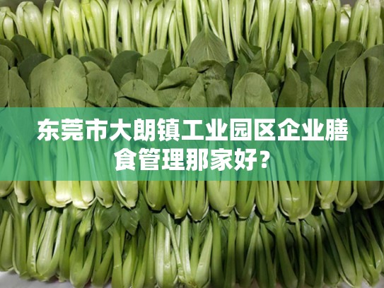 东莞市大朗镇工业园区企业膳食管理那家好？