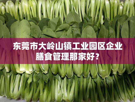 东莞市大岭山镇工业园区企业膳食管理那家好？