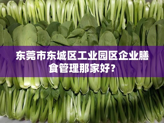 东莞市东城区工业园区企业膳食管理那家好？