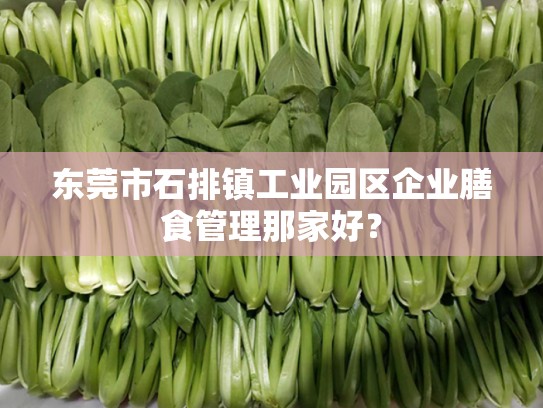 东莞市石排镇工业园区企业膳食管理那家好？