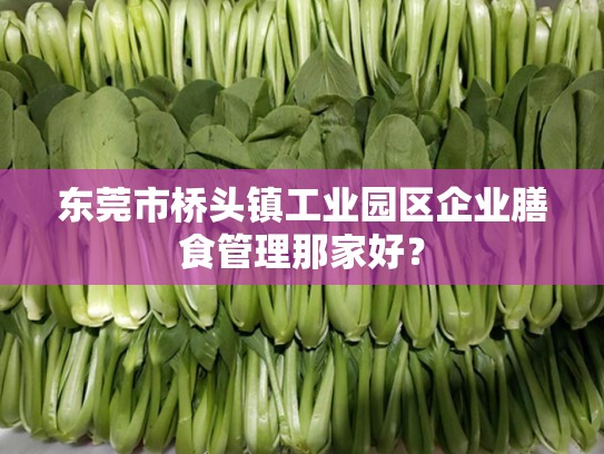 东莞市桥头镇工业园区企业膳食管理那家好？