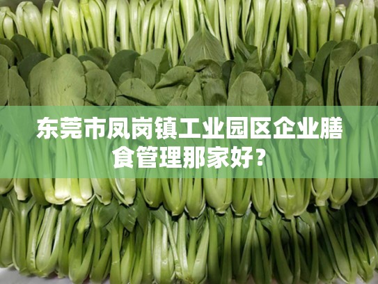 东莞市凤岗镇工业园区企业膳食管理那家好？