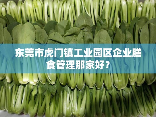 东莞市虎门镇工业园区企业膳食管理那家好？