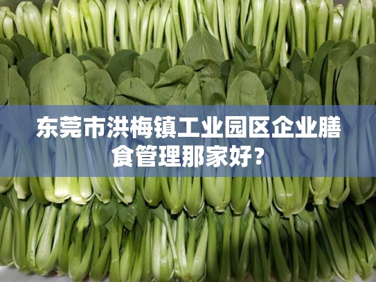 东莞市洪梅镇工业园区企业膳食管理那家好？