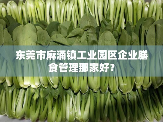 东莞市麻涌镇工业园区企业膳食管理那家好？