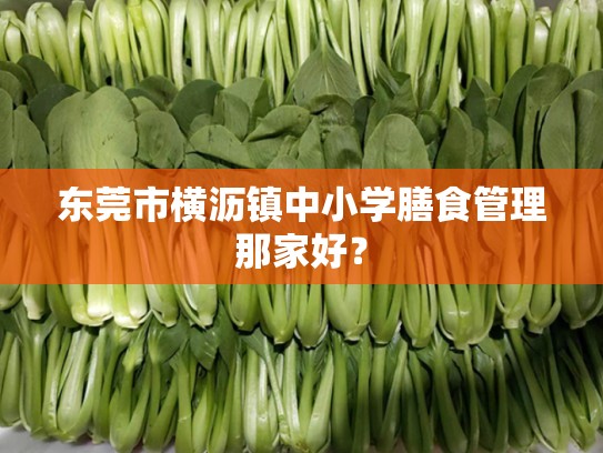 东莞市横沥镇中小学膳食管理那家好？