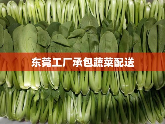 东莞工厂承包蔬菜配送