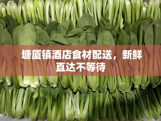  塘厦镇酒店食材配送，新鲜直达不等待