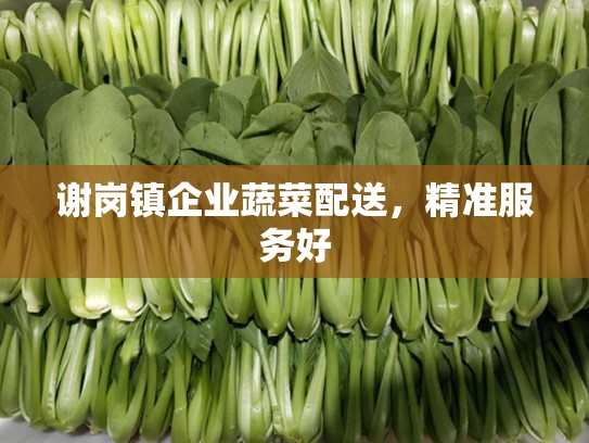 谢岗镇企业蔬菜配送，精准服务好