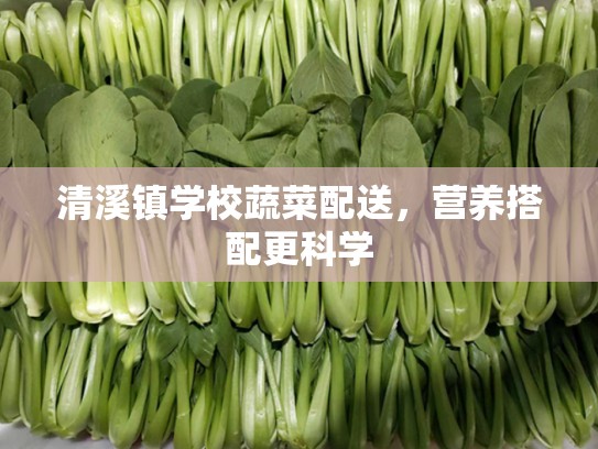 清溪镇学校蔬菜配送，营养搭配更科学