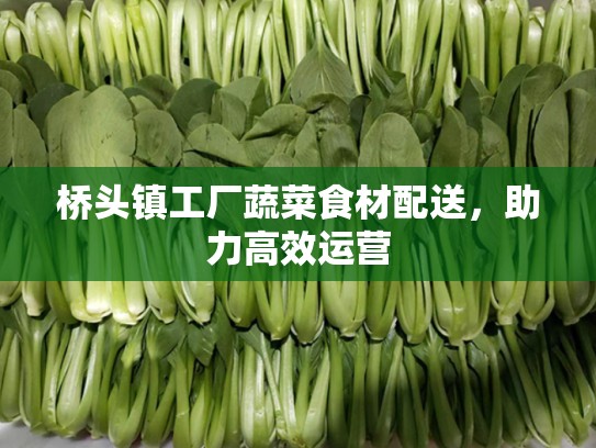 桥头镇工厂蔬菜食材配送，助力高效运营