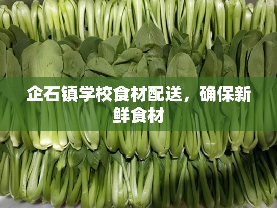 企石镇学校食材配送，确保新鲜食材