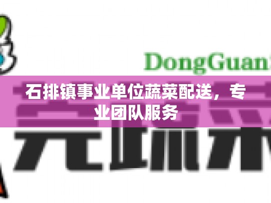 石排镇事业单位蔬菜配送，专业团队服务