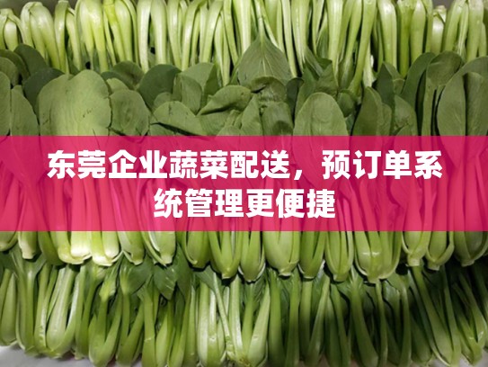 东莞企业蔬菜配送，预订单系统管理更便捷