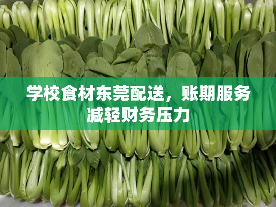 学校食材东莞配送，账期服务减轻财务压力
