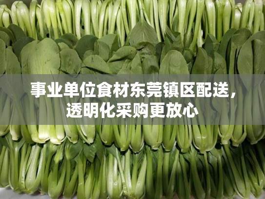 事业单位食材东莞镇区配送，透明化采购更放心
