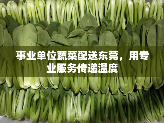 事业单位蔬菜配送东莞，用专业服务传递温度