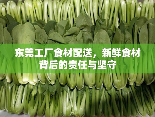 东莞工厂食材配送，新鲜食材背后的责任与坚守