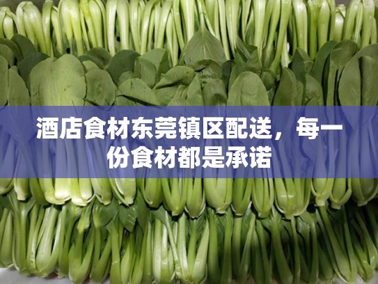 酒店食材东莞镇区配送，每一份食材都是承诺
