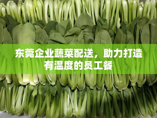 东莞企业蔬菜配送，助力打造有温度的员工餐