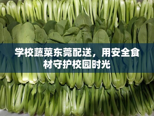 学校蔬菜东莞配送，用安全食材守护校园时光