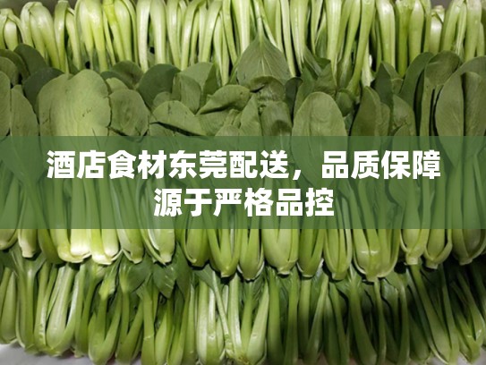 酒店食材东莞配送，品质保障源于严格品控