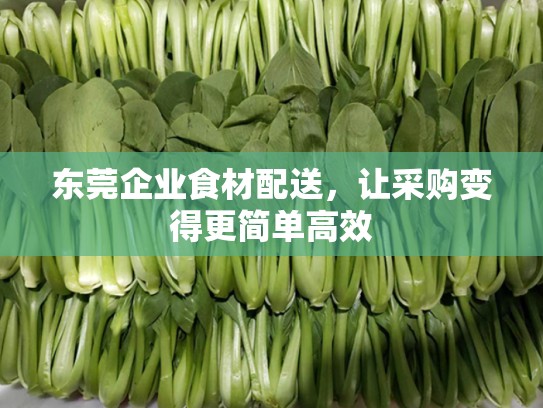 东莞企业食材配送，让采购变得更简单高效