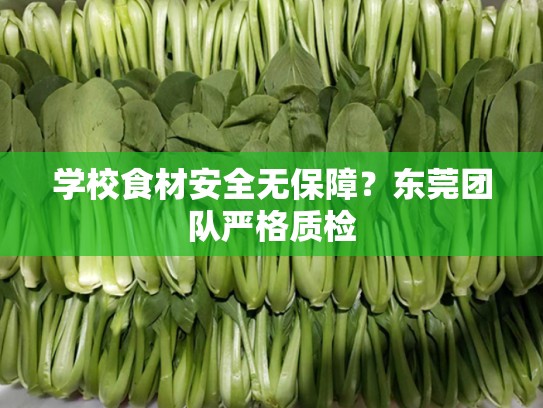 学校食材安全无保障？东莞团队严格质检