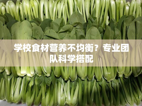 学校食材营养不均衡？专业团队科学搭配
