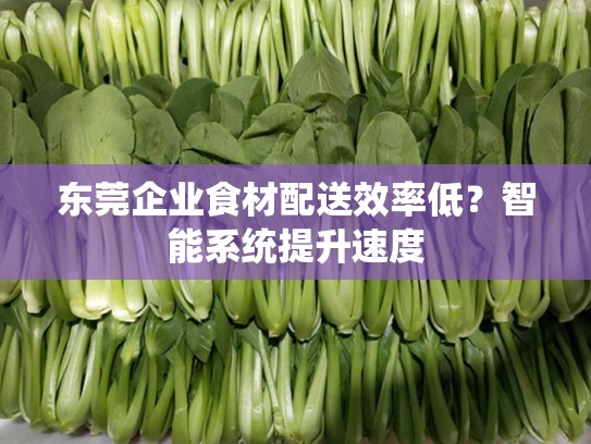 东莞企业食材配送效率低？智能系统提升速度
