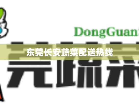 东莞长安蔬菜配送热线