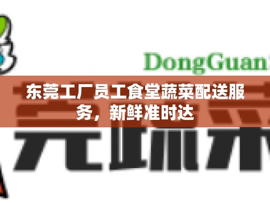 东莞工厂员工食堂蔬菜配送服务，新鲜准时达