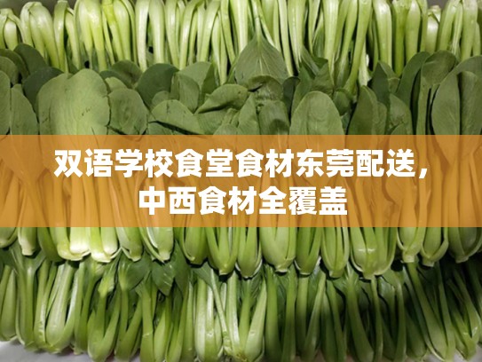双语学校食堂食材东莞配送，中西食材全覆盖