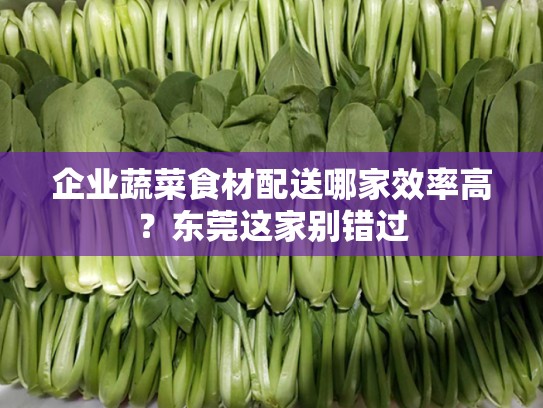 企业蔬菜食材配送哪家效率高？东莞这家别错过