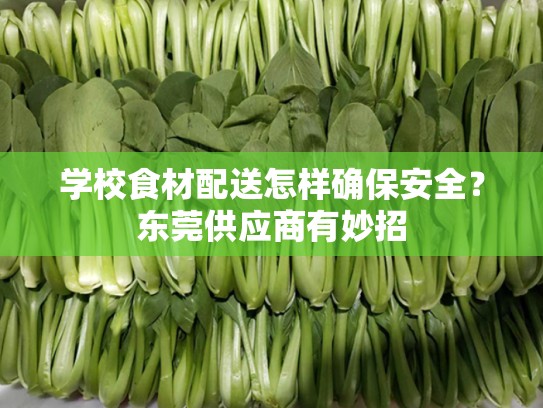 学校食材配送怎样确保安全？东莞供应商有妙招