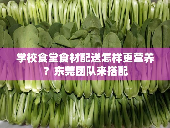 学校食堂食材配送怎样更营养？东莞团队来搭配