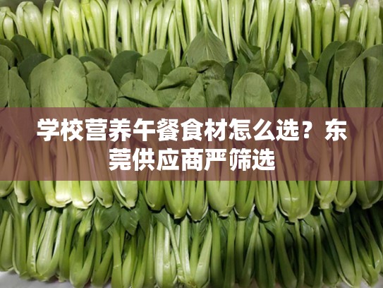 学校营养午餐食材怎么选？东莞供应商严筛选