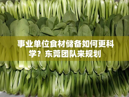 事业单位食材储备如何更科学？东莞团队来规划