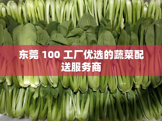 东莞 100 工厂优选的蔬菜配送服务商