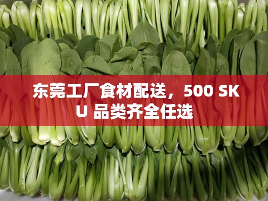  东莞工厂食材配送，500 SKU 品类齐全任选