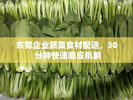 东莞企业蔬菜食材配送，30 分钟快速响应机制