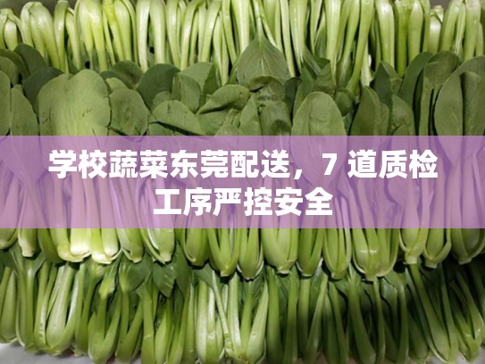学校蔬菜东莞配送，7 道质检工序严控安全