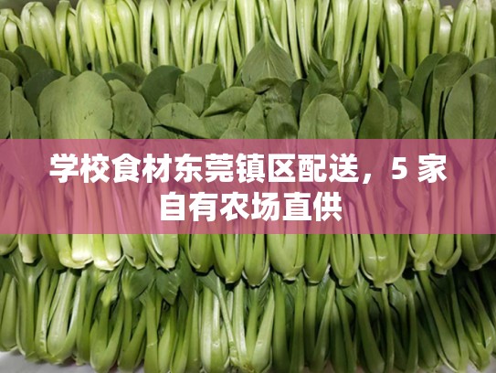 学校食材东莞镇区配送，5 家自有农场直供