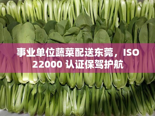 事业单位蔬菜配送东莞，ISO22000 认证保驾护航